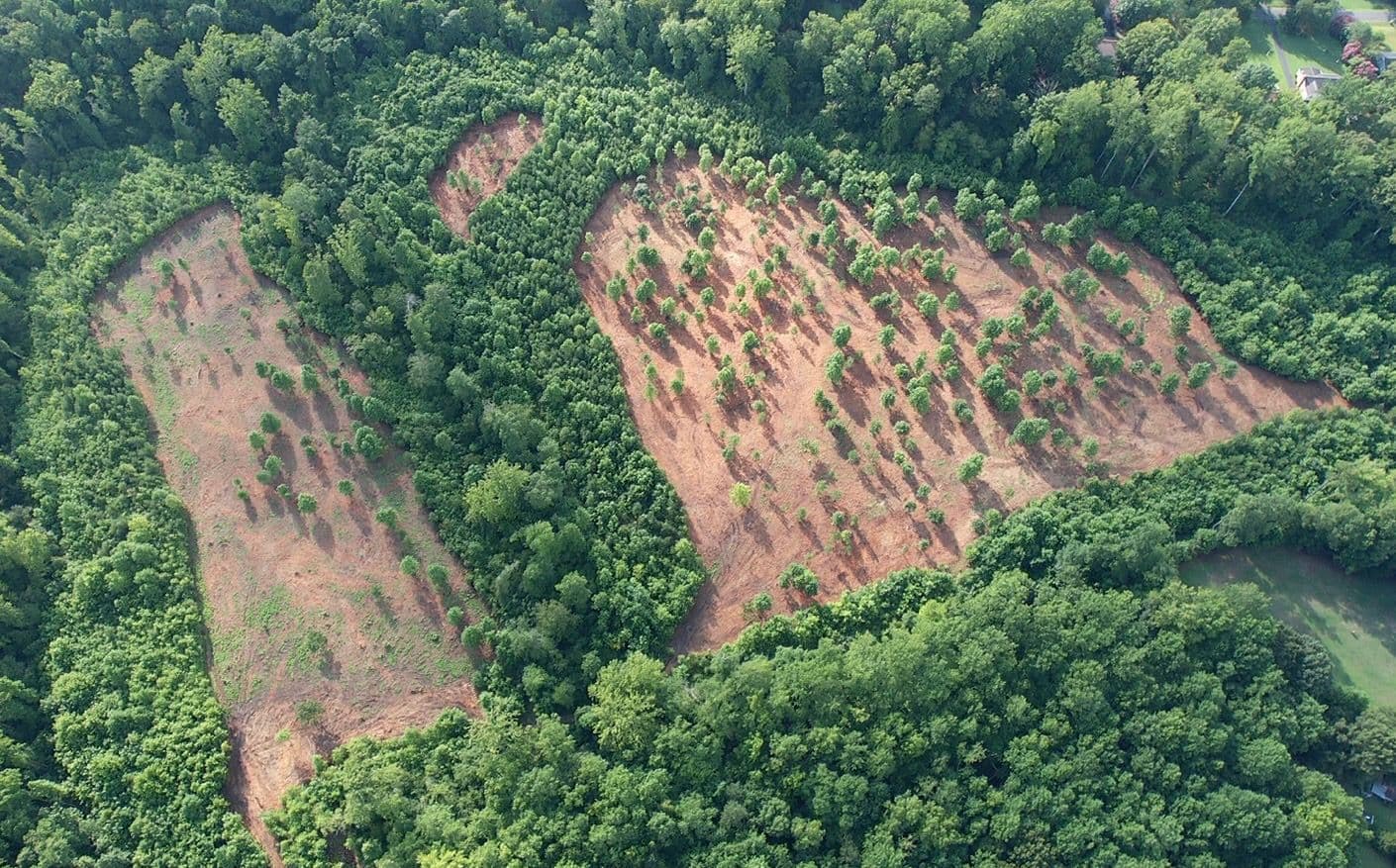 Project Efficient 17-Acre Land Clearing for Agriculture and Projects image