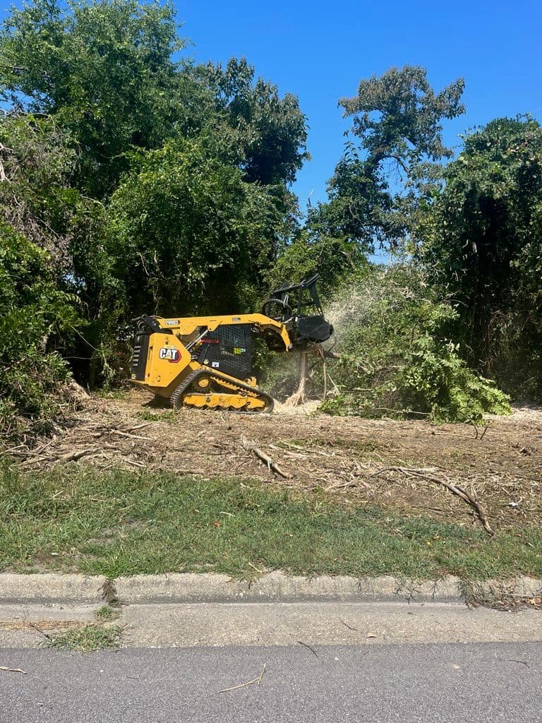 Land Clearing Excellence on Commercial Plot