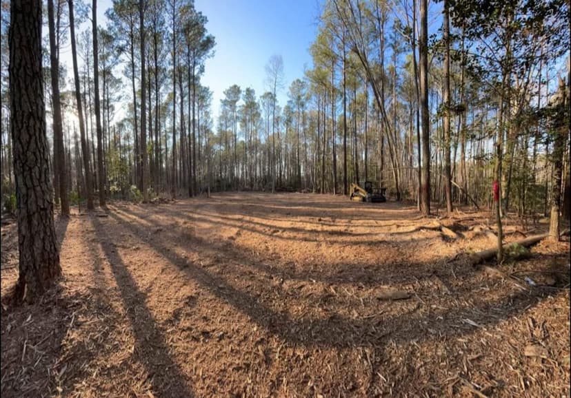 Cleared land in a pine forest with tree shadows and machinery in sunlight.