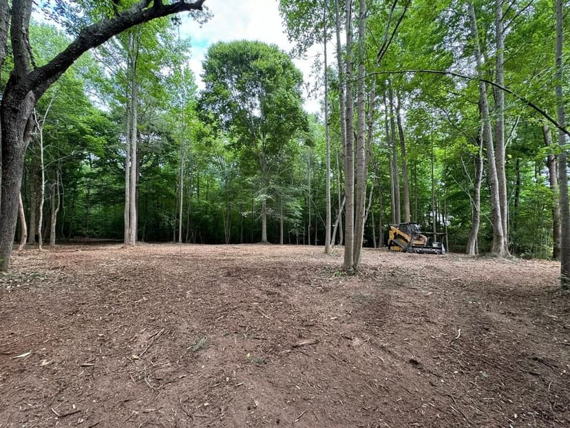 Cleared forest area with a tree removal machine surrounded by lush greenery.
